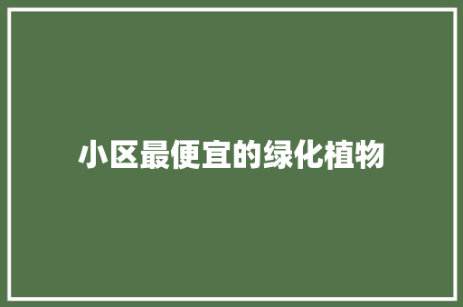小区最便宜的绿化植物