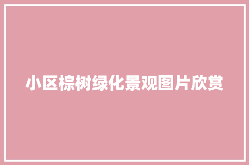 小区棕树绿化景观图片欣赏