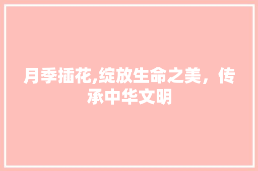 月季插花,绽放生命之美，传承中华文明