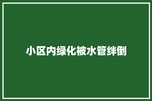 小区内绿化被水管绊倒