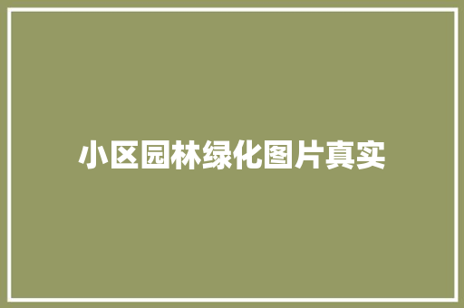 小区园林绿化图片真实