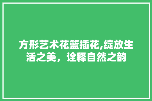 方形艺术花篮插花,绽放生活之美，诠释自然之韵