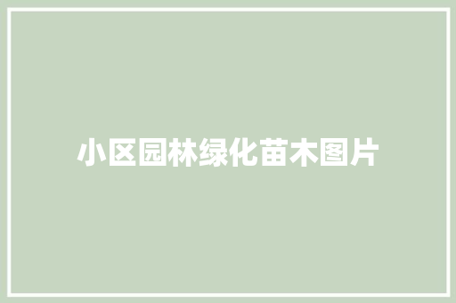 小区园林绿化苗木图片