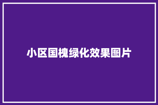 小区国槐绿化效果图片