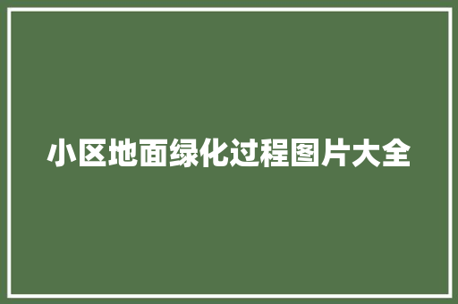 小区地面绿化过程图片大全
