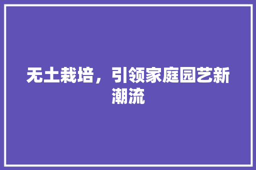 无土栽培，引领家庭园艺新潮流