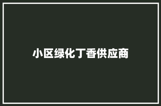小区绿化丁香供应商