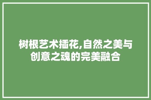 树根艺术插花,自然之美与创意之魂的完美融合 有机育苗