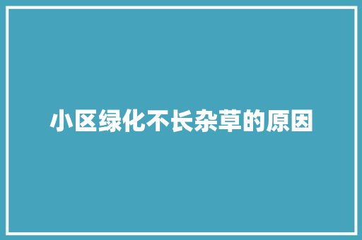 小区绿化不长杂草的原因