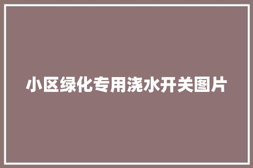 小区绿化专用浇水开关图片