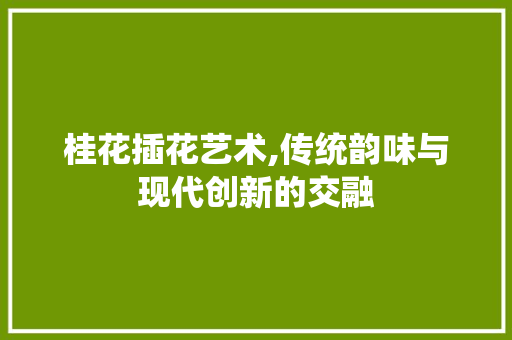 桂花插花艺术,传统韵味与现代创新的交融