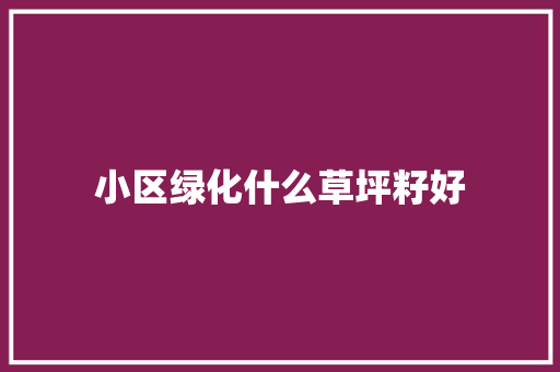 小区绿化什么草坪籽好