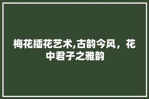 梅花插花艺术,古韵今风，花中君子之雅韵
