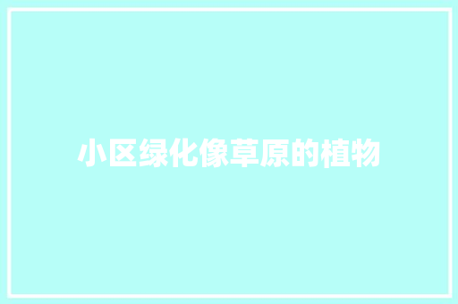 小区绿化像草原的植物