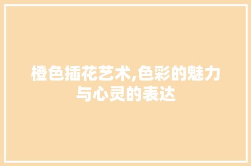 橙色插花艺术,色彩的魅力与心灵的表达