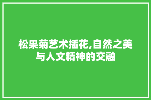 松果菊艺术插花,自然之美与人文精神的交融