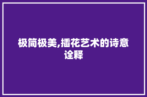 极简极美,插花艺术的诗意诠释