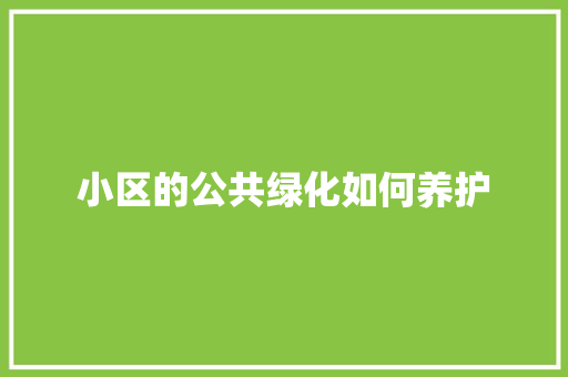小区的公共绿化如何养护