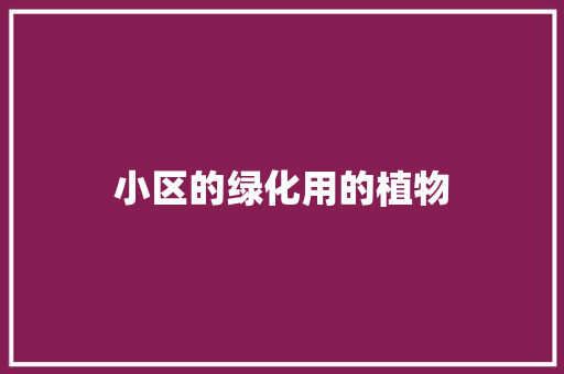 小区的绿化用的植物