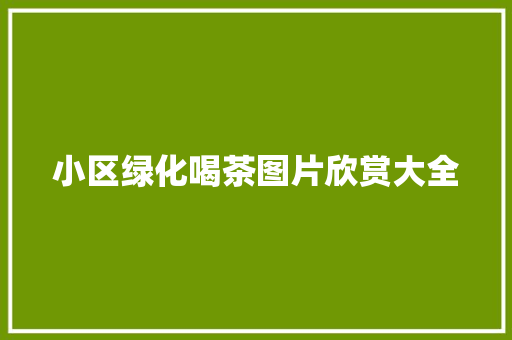 小区绿化喝茶图片欣赏大全