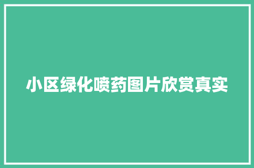 小区绿化喷药图片欣赏真实