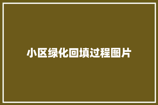 小区绿化回填过程图片