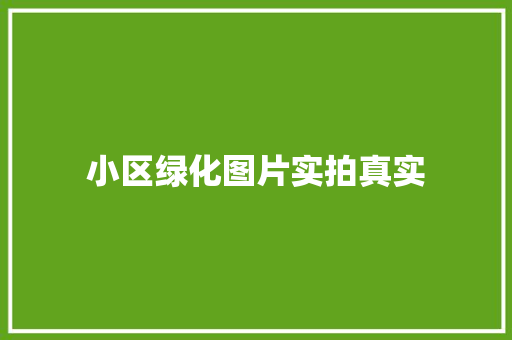 小区绿化图片实拍真实