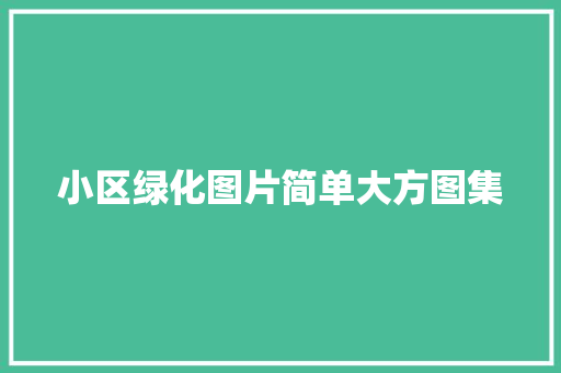 小区绿化图片简单大方图集