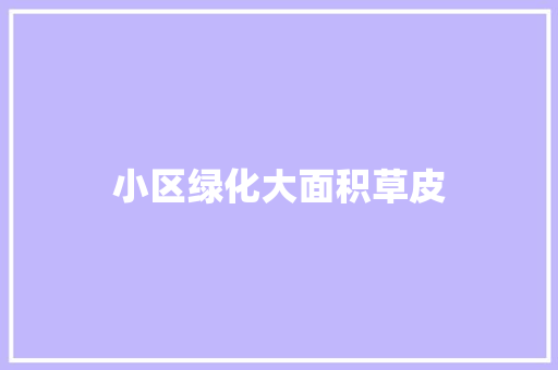 小区绿化大面积草皮
