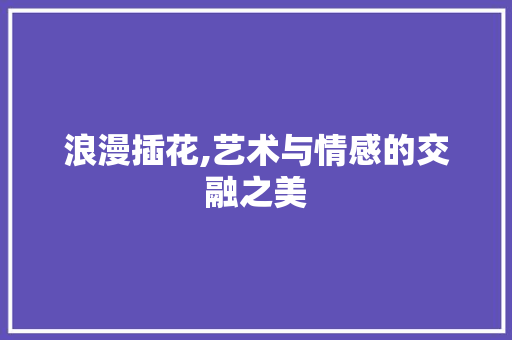 浪漫插花,艺术与情感的交融之美