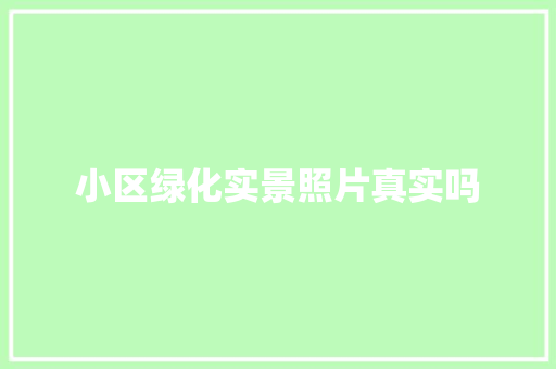小区绿化实景照片真实吗