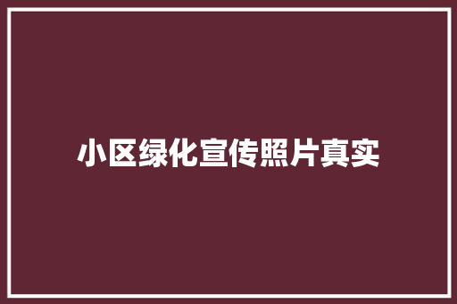 小区绿化宣传照片真实