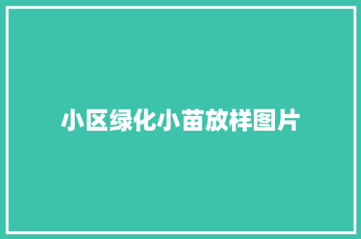 小区绿化小苗放样图片