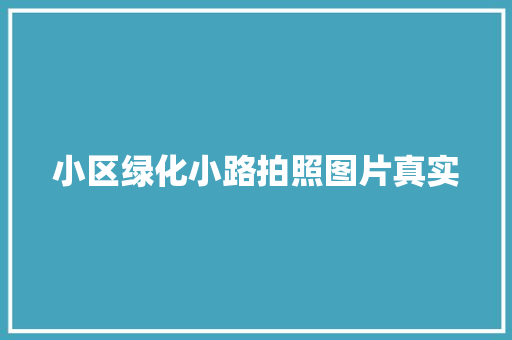 小区绿化小路拍照图片真实