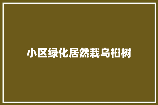 小区绿化居然栽乌桕树