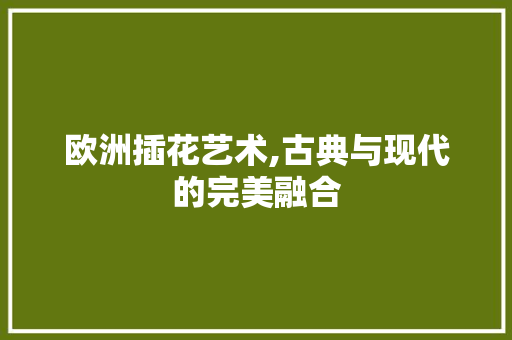 欧洲插花艺术,古典与现代的完美融合