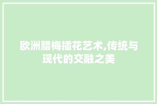 欧洲腊梅插花艺术,传统与现代的交融之美 无土育苗