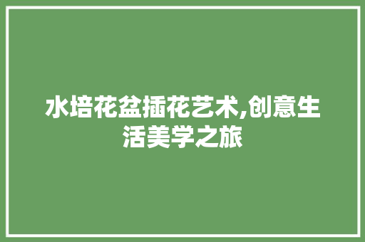 水培花盆插花艺术,创意生活美学之旅