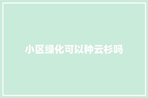 小区绿化可以种云杉吗