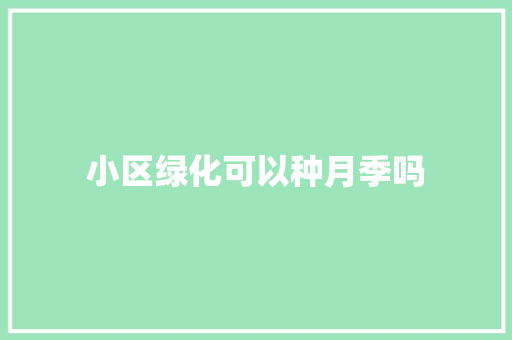 小区绿化可以种月季吗