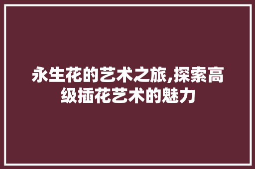 永生花的艺术之旅,探索高级插花艺术的魅力