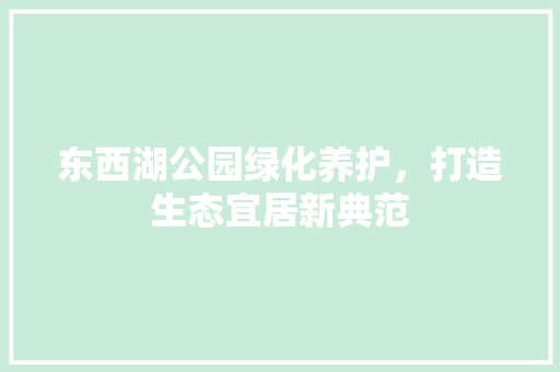 东西湖公园绿化养护，打造生态宜居新典范 无土育苗
