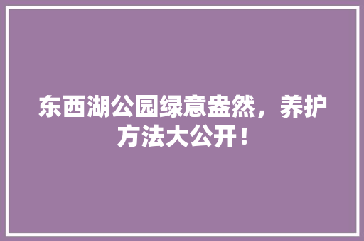 东西湖公园绿意盎然，养护方法大公开！ 育苗设备