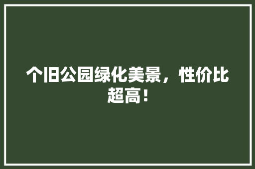 个旧公园绿化美景，性价比超高！ 花卉育苗