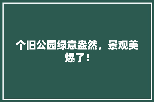 个旧公园绿意盎然，景观美爆了！ 育苗设备