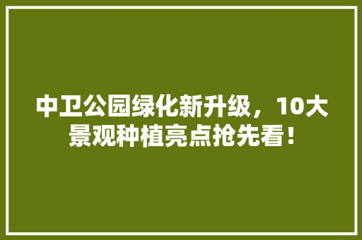 中卫公园绿化新升级，10大景观种植亮点抢先看！