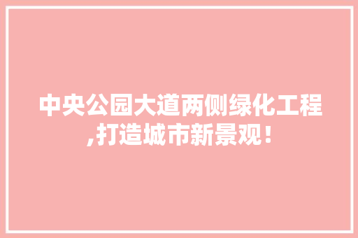 中央公园大道两侧绿化工程,打造城市新景观！
