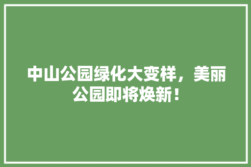 中山公园绿化大变样，美丽公园即将焕新！ 育苗设备