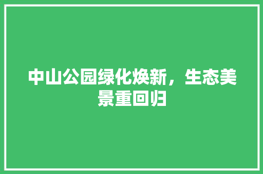 中山公园绿化焕新，生态美景重回归