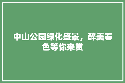 中山公园绿化盛景，醉美春色等你来赏